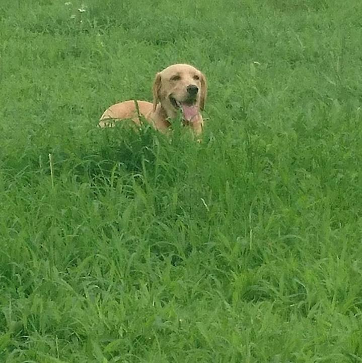 63bf3568 4e95 4830 a498 91b297061413