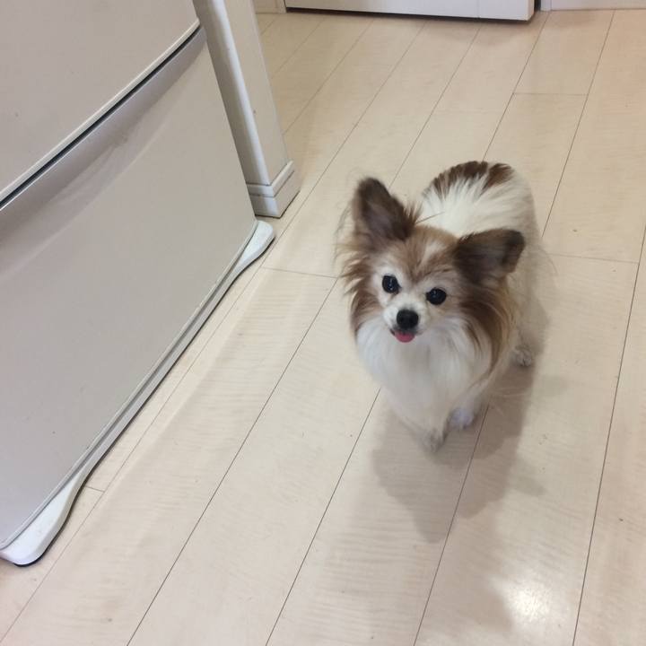 63bf46b2 e210 438d b18c e811ccbfd180