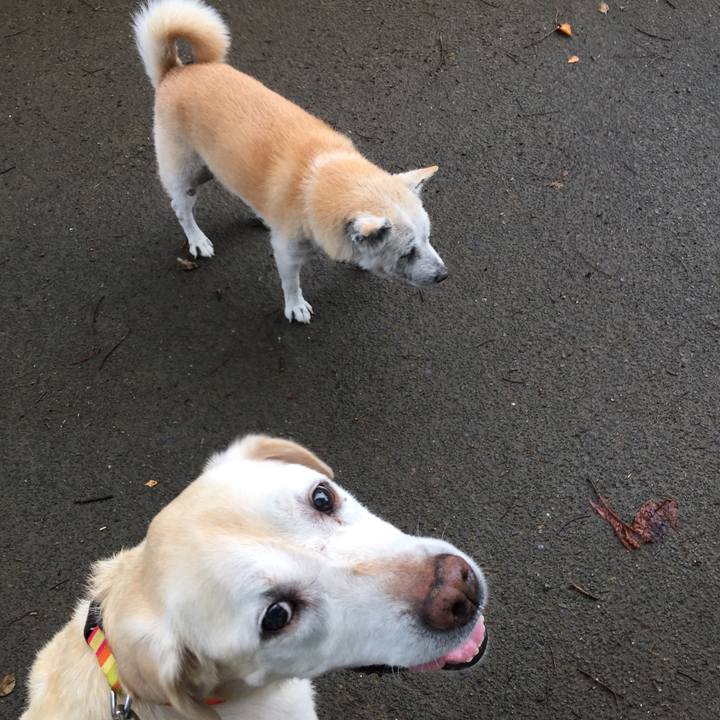 63bf970b 050c 4f5e b811 2f370a094e88