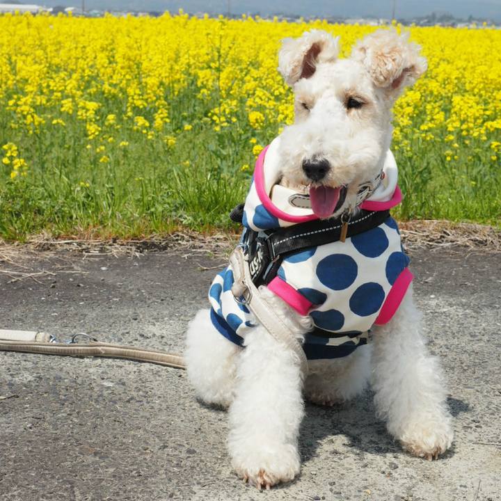 63c013f4 58e5 4621 9d30 3afc11cbedba