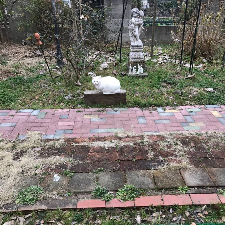 63c11f8b 6c57 4802 aed8 9b0cf6d439da