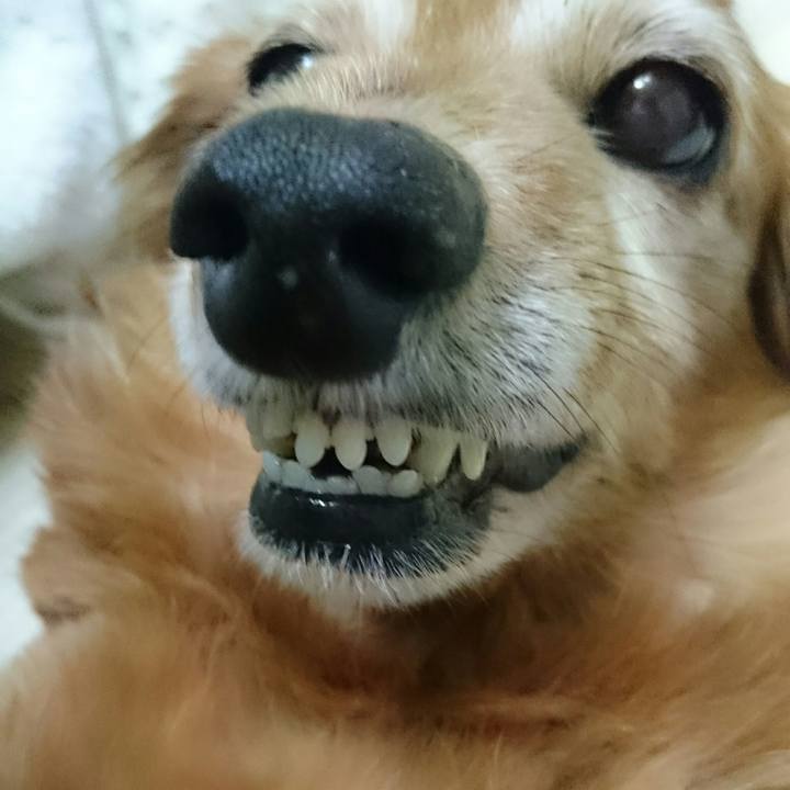 63c15be1 46e7 427a 9422 a9935a8fadc6