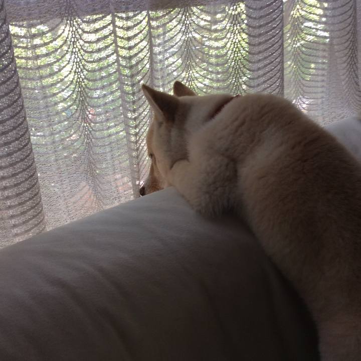 63c15c34 6a99 4c13 9e9c 3e9759d969e4