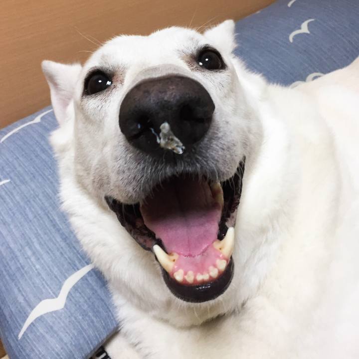 63c1f1cc 9003 4350 9f47 0ad7782b67b0