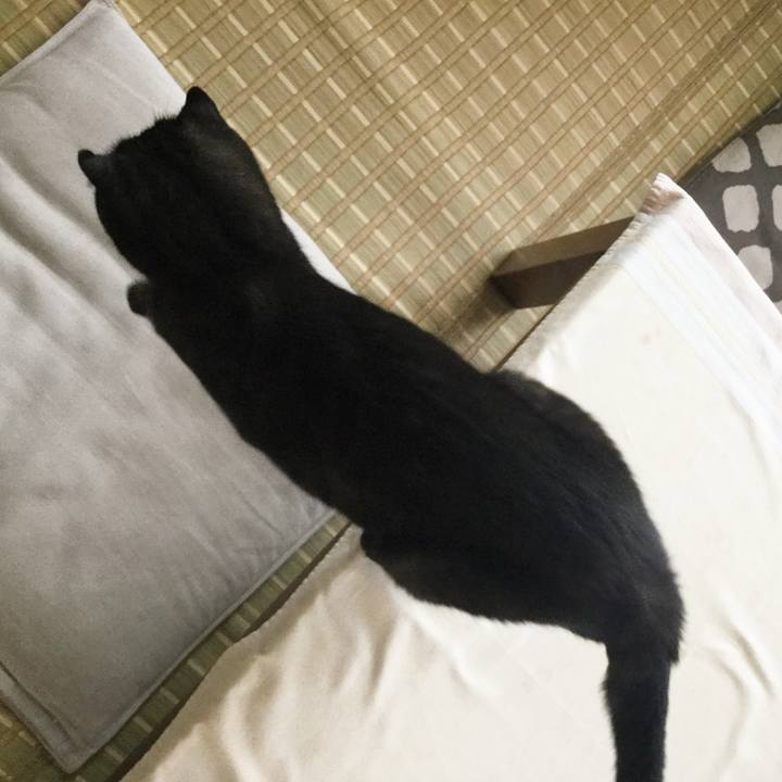 63c1f1ed ee32 49ff 923c c087ca7e7d0a