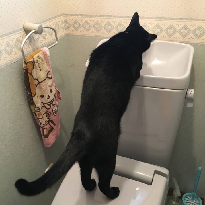 63c20ea2 4f9c 49eb b426 05709d9f3e77