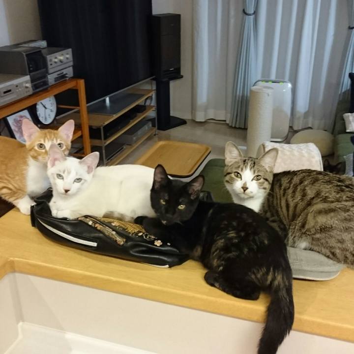 63c2d355 9f64 4a71 b674 6c0ca5e84350