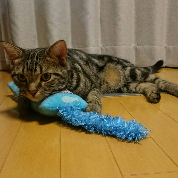 63c3f32a b623 494c b764 3001860f43ac