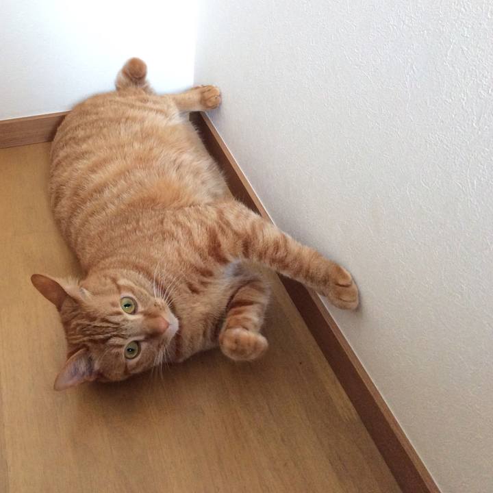 63c4275a 5bc4 46d9 b062 23ef4117abe1