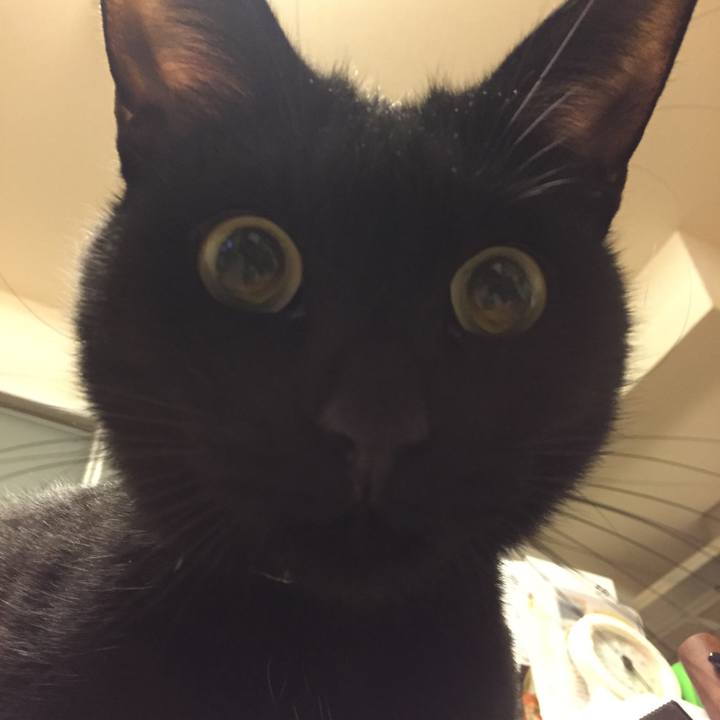 63c471f3 0200 4d80 88fa 51f1bbffa402