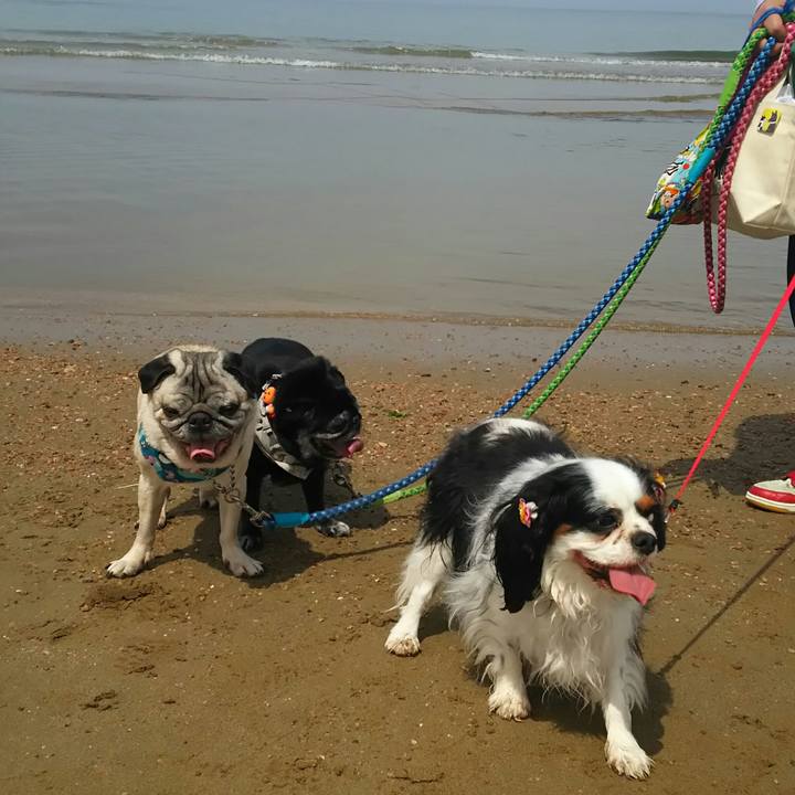 63c50328 c0e3 457f a3c7 02675c6fc662