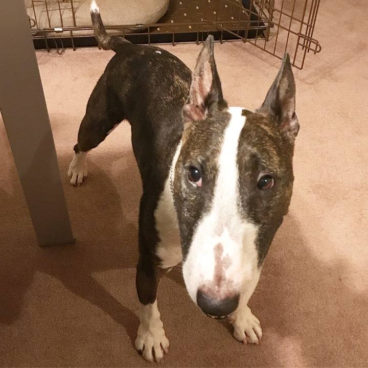 63c51ad1 bc1e 4876 8fb1 2e73b69845d5