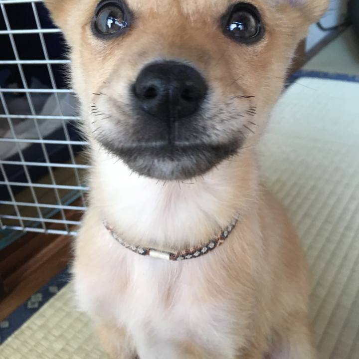 63c5a205 c7dd 442f 87d0 c0d7293476f5