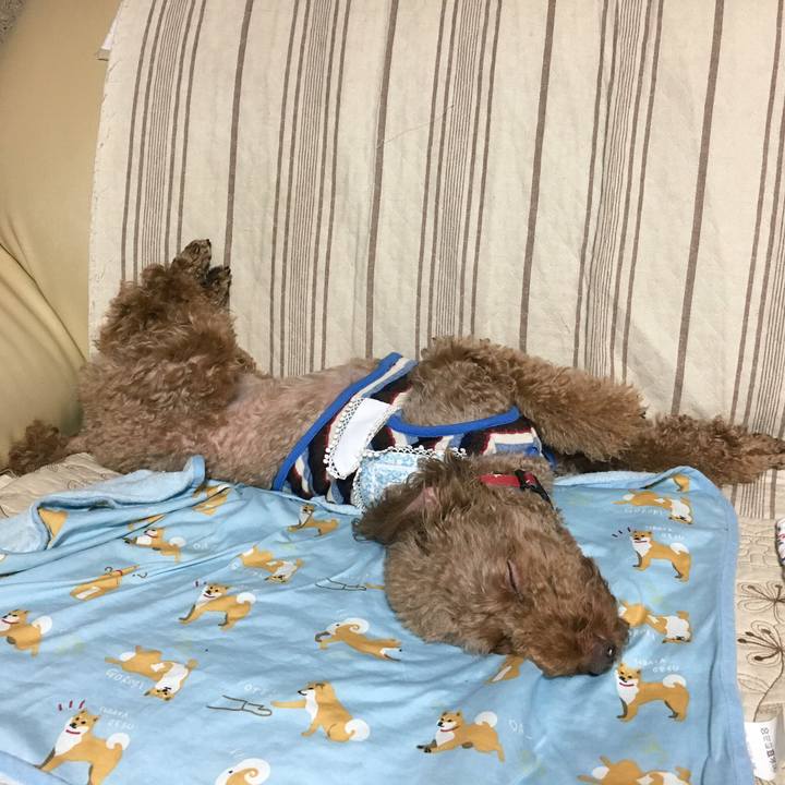 63c5cda5 4dd8 438c bf4f b3230f606987