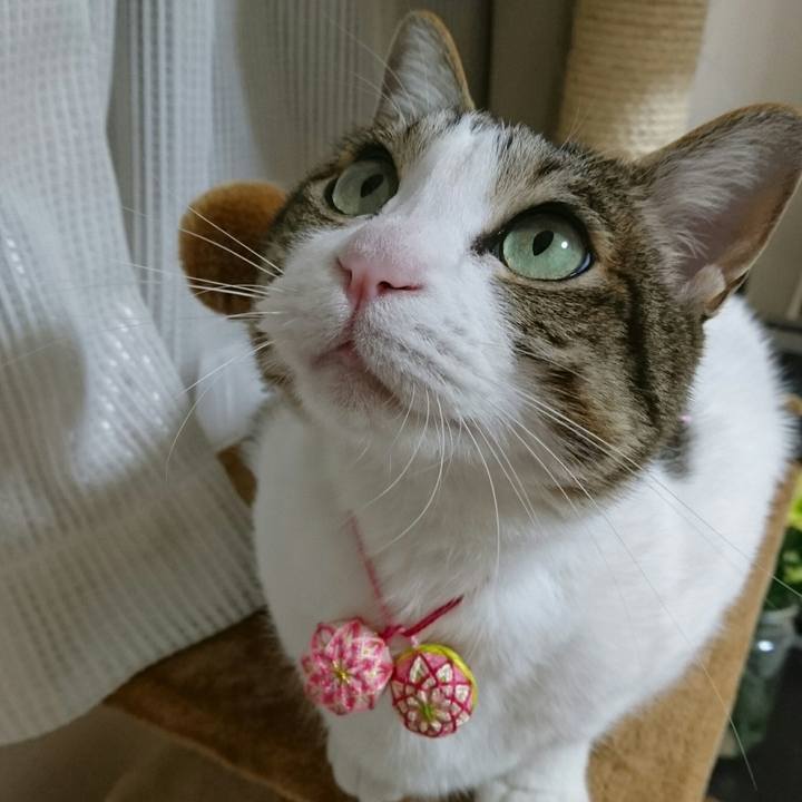 63c5e0f2 7c1e 4cea 8ad0 9acc90f8774f