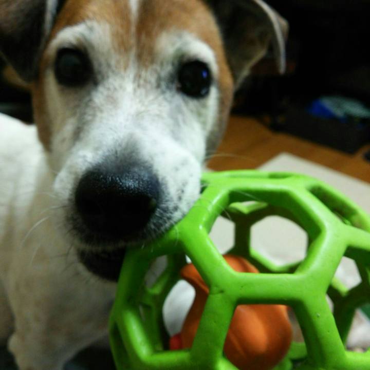 63c6032b 8155 426d 921a f68948dbbd9e