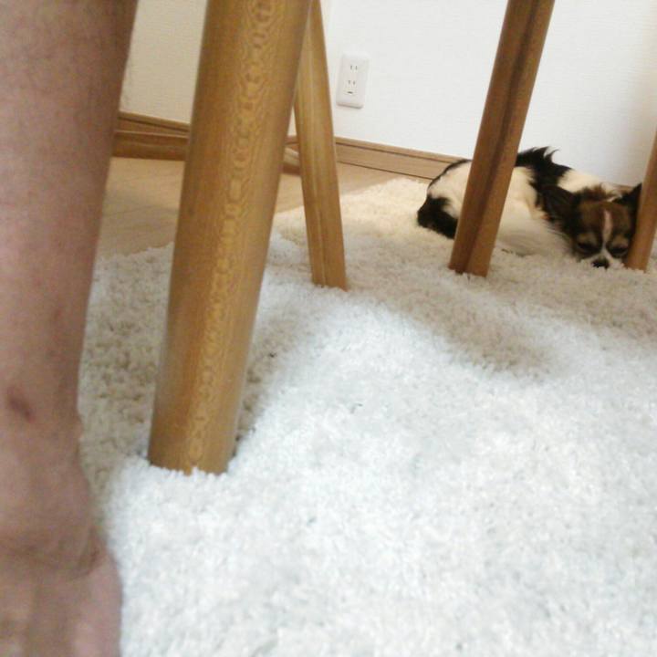 63c66456 32a5 4517 b160 2dadcc8089c1