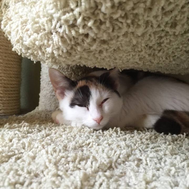 63c6fff5 c1be 4d4d a426 9152aa142dbf