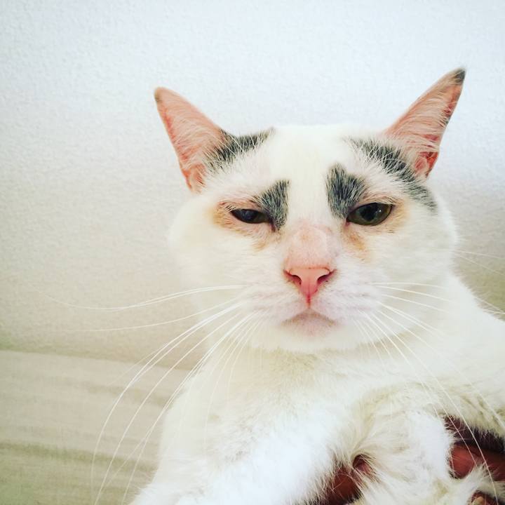 63c7a3bd ed46 43dd b377 1824e7b0b947