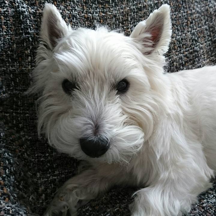 63c8725b abd2 465c 9b9f b019f15d2364