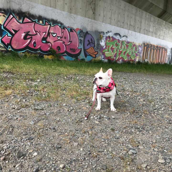 63c9783d 00a4 490d a509 201a6b774b2f