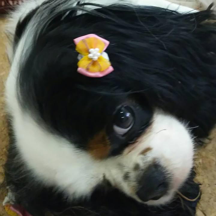 63cb95d0 6142 48d9 aeaa f114387d6ad7