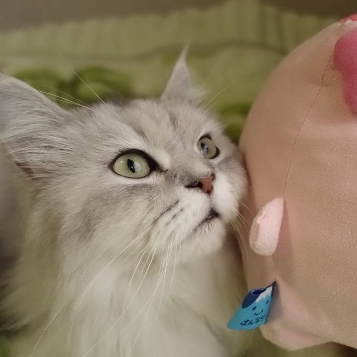 63cc2423 688f 4513 a02f 8d9ac6ca447d