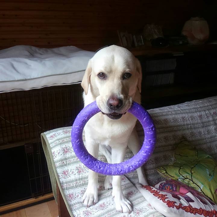 63cc9c1a 4c1c 41f3 add4 1889047b100d