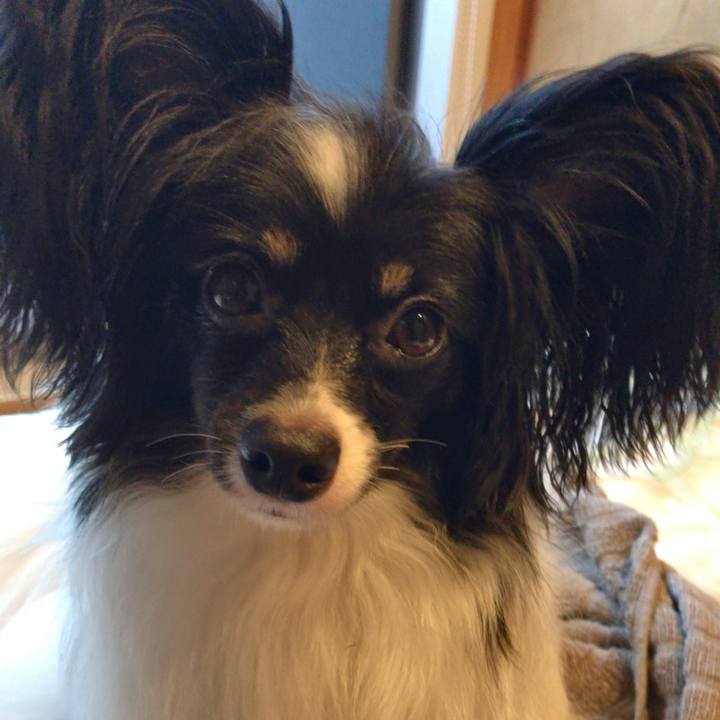 63ccc681 a751 4cb3 a9ed c48ecce6dbbf