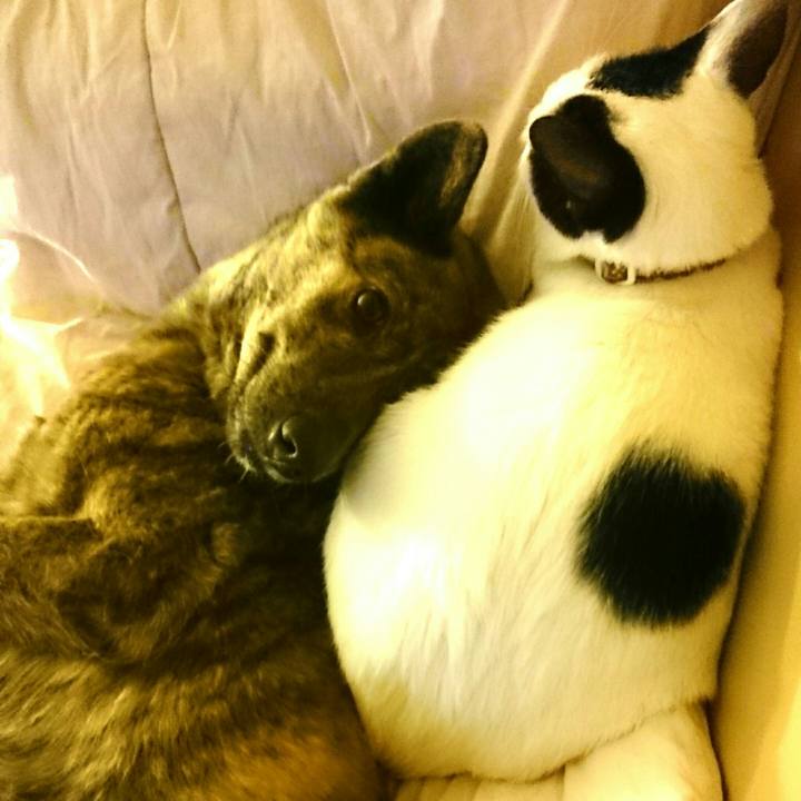 63ccd24a 95f6 4c53 9ec4 705b014c4903