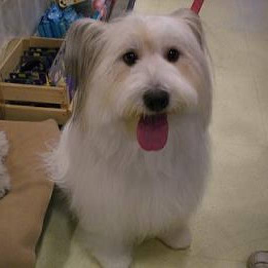 63cd0723 1c88 4025 8b3c da326241cfc7