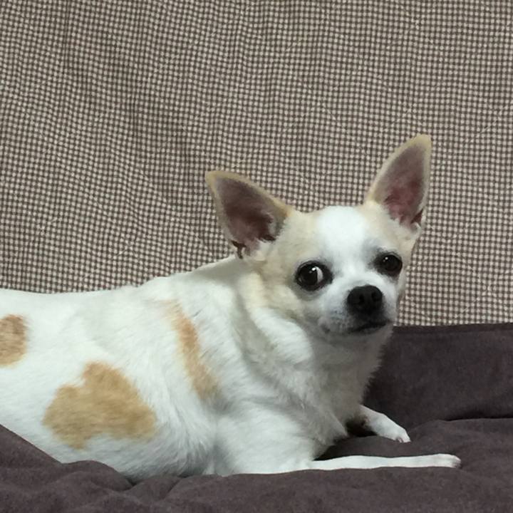 63cd1f02 9583 4254 ac44 980995c8177a