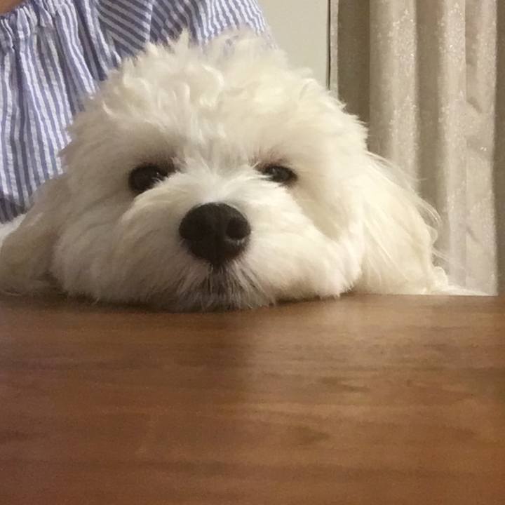 63cd4845 aed4 4dd3 bf8d ff7f2c1bafea