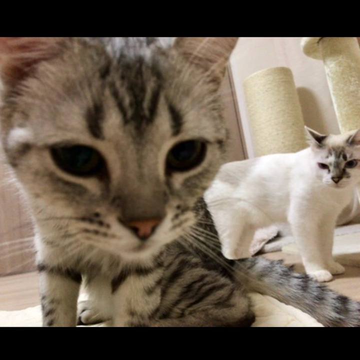 63cd5780 1422 4494 a19d 8c6528c87a68