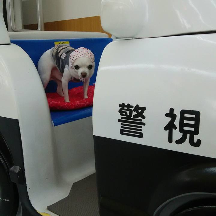 63cdc98b 23a6 47c7 860f ab7e16526358