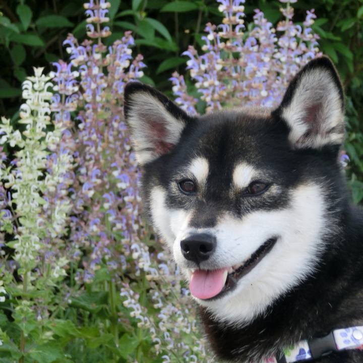 63cde694 c2e4 43a4 96fb 0fdd39aa1bec