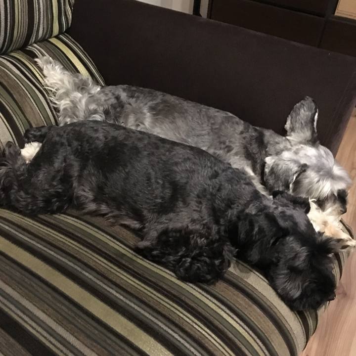 63ce8355 7086 41a0 bbdc 27e9005aa3bb