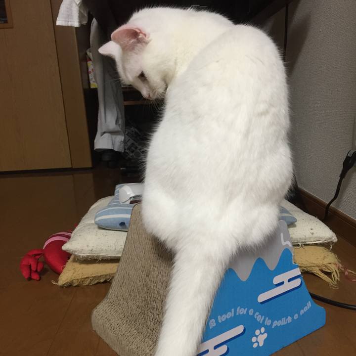 63cf2a6d 2272 4fc4 ae0e 2a25126c60c2