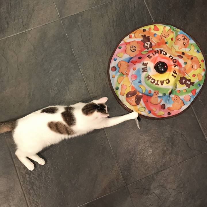 63cfc96a 92f4 4004 9611 f6a4e232834c