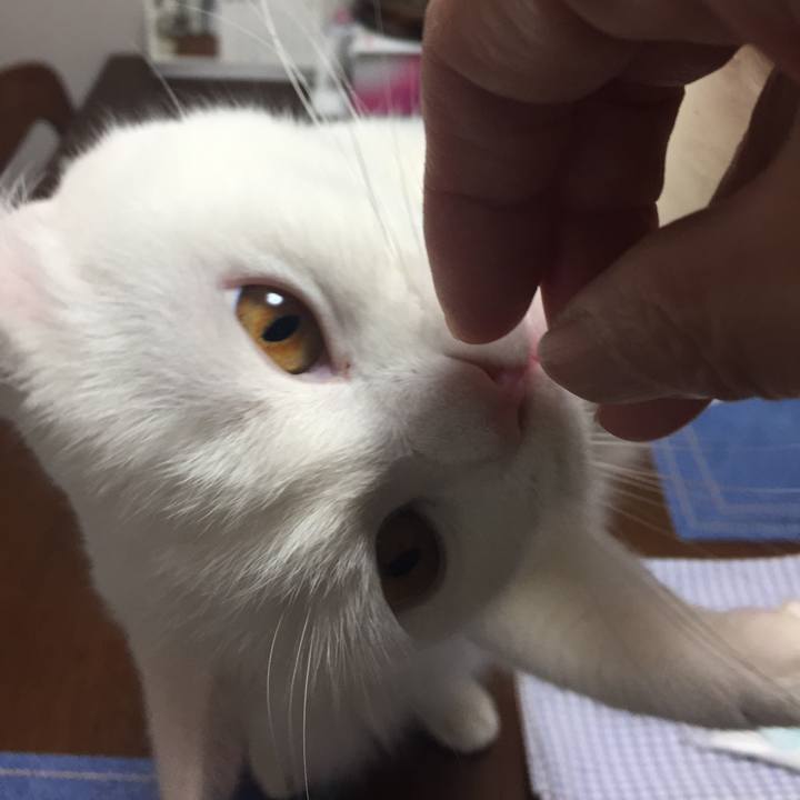 63cfdd2a 9a59 4bea a4ce daa73807ad87