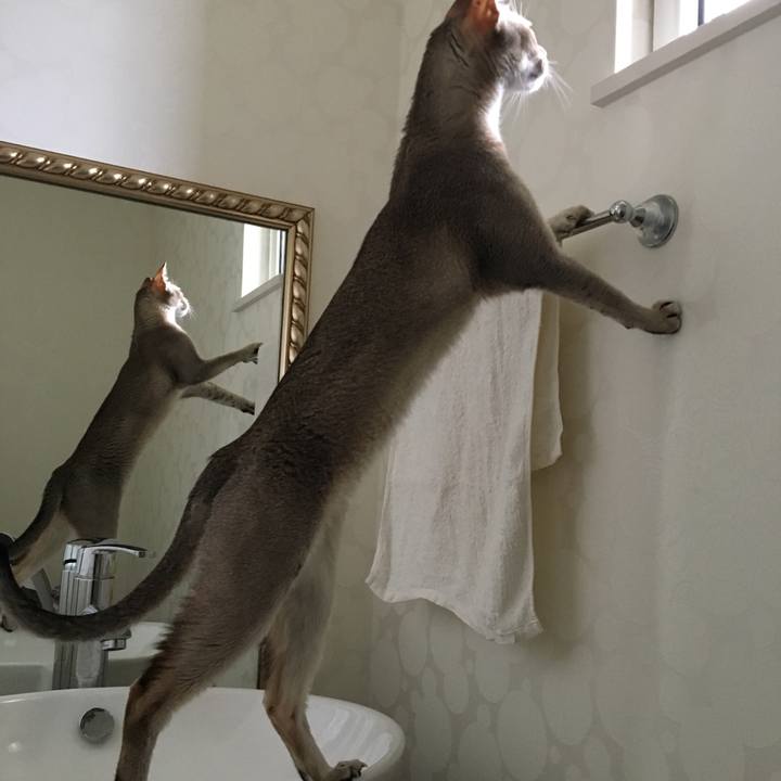 63d07b94 333b 4680 a043 c5d4177282f0