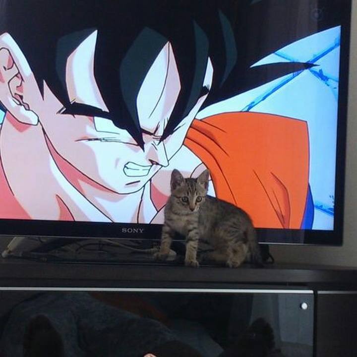 63d0e3e2 fce0 4bcf 8ab3 02dbef944391