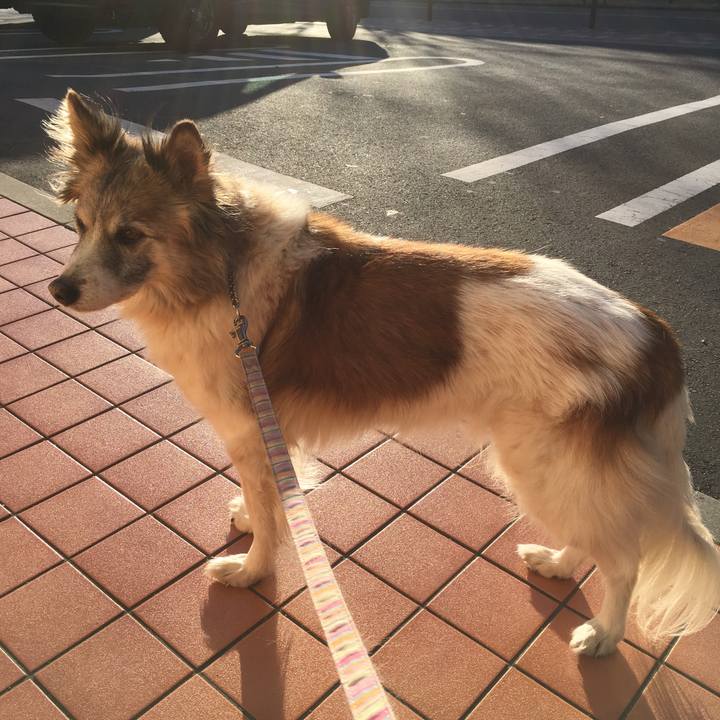 63d14424 d319 41d5 8ff0 7b0b60483daa