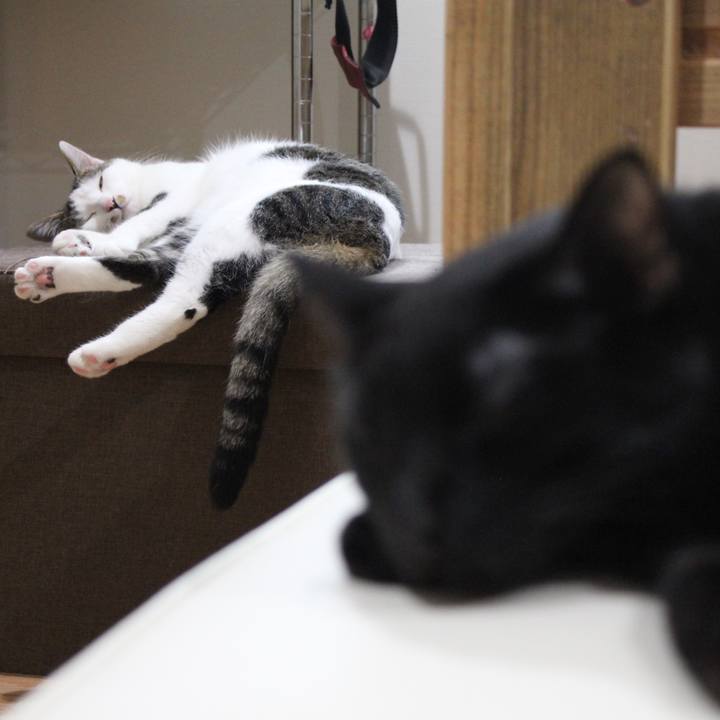 63d14640 5c52 43e0 a69e 29de2d8f2656