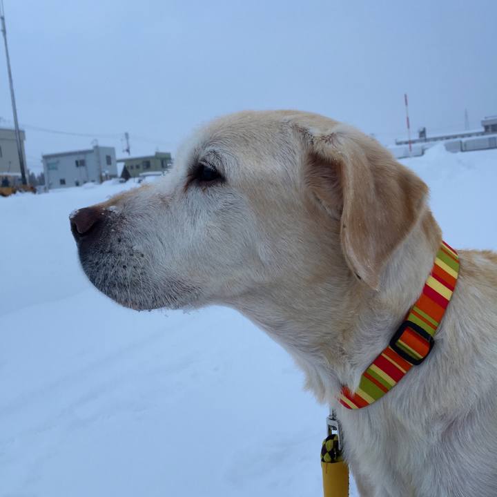 63d1470a 78c5 4b95 acfa 0c09f02ddc44