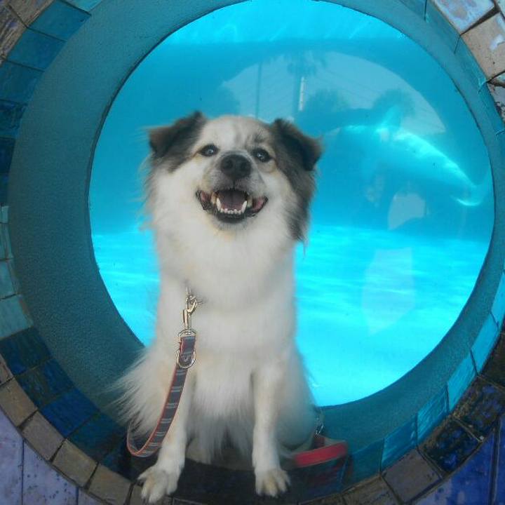 63d1550a 2c43 401c b6c0 53c9958943ab