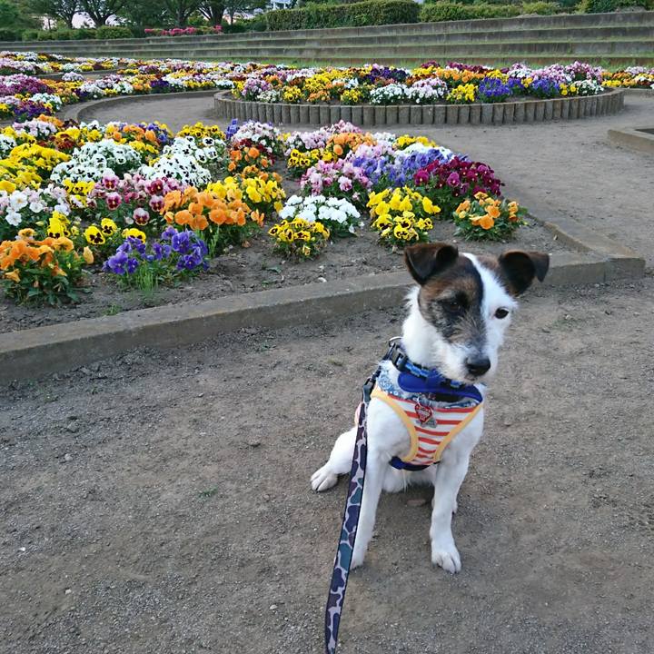 63d2e11f aa07 46ee 9598 46a6c31c05ab