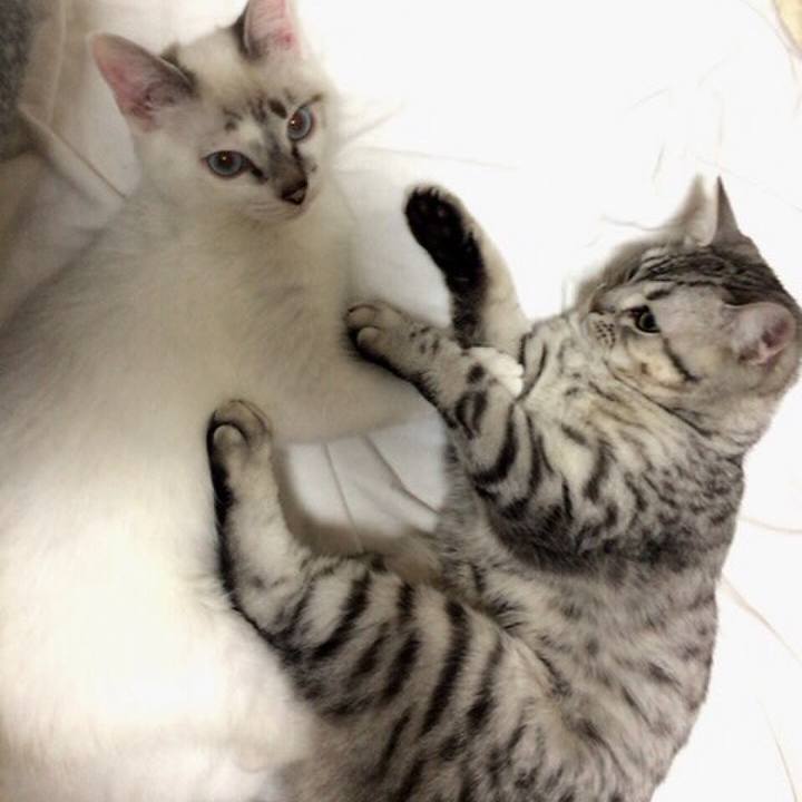 63d321b1 8ca8 495e 9e16 7d8b26954ed8