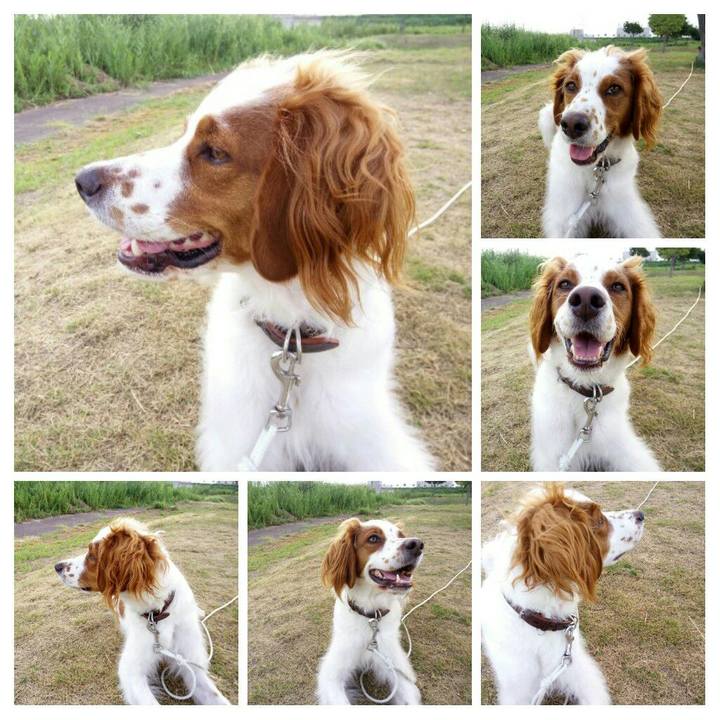 63d3233f ee44 44a9 9b01 fc9a091b1c6b