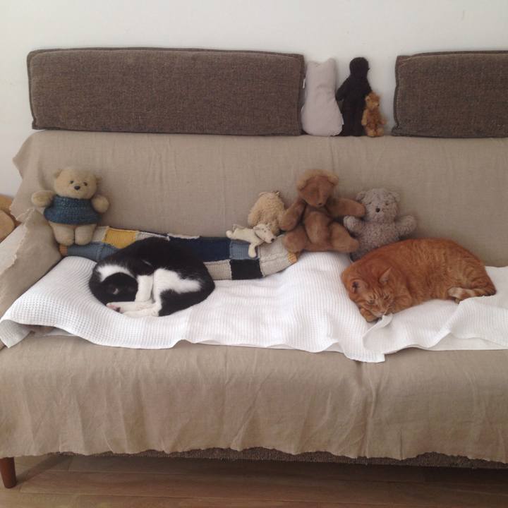 63d354f5 e494 4022 ad7d 3100c9ccc9ad